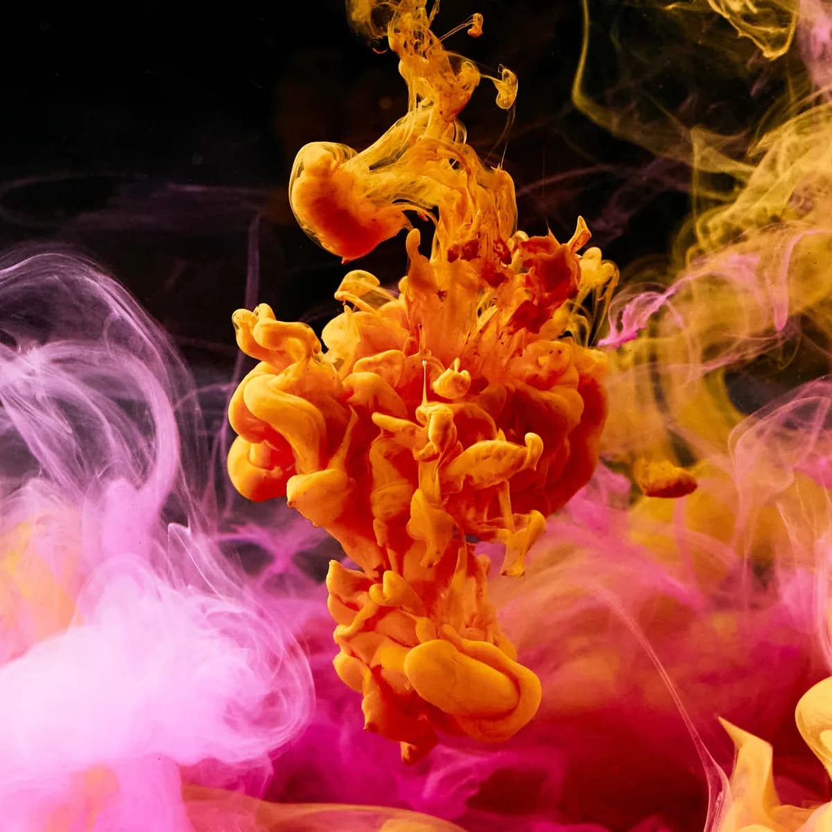 Ink suspended in water, frozen mid-bloom against a dark field. Fine filaments and soft edges. Abstract, saturated, organic.