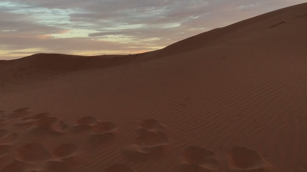 Wind lifts sand off the crest of a dune, ridgelines curving away to the horizon. Low sun carves hard shadow into the slopes. Warm, minimal, patient.