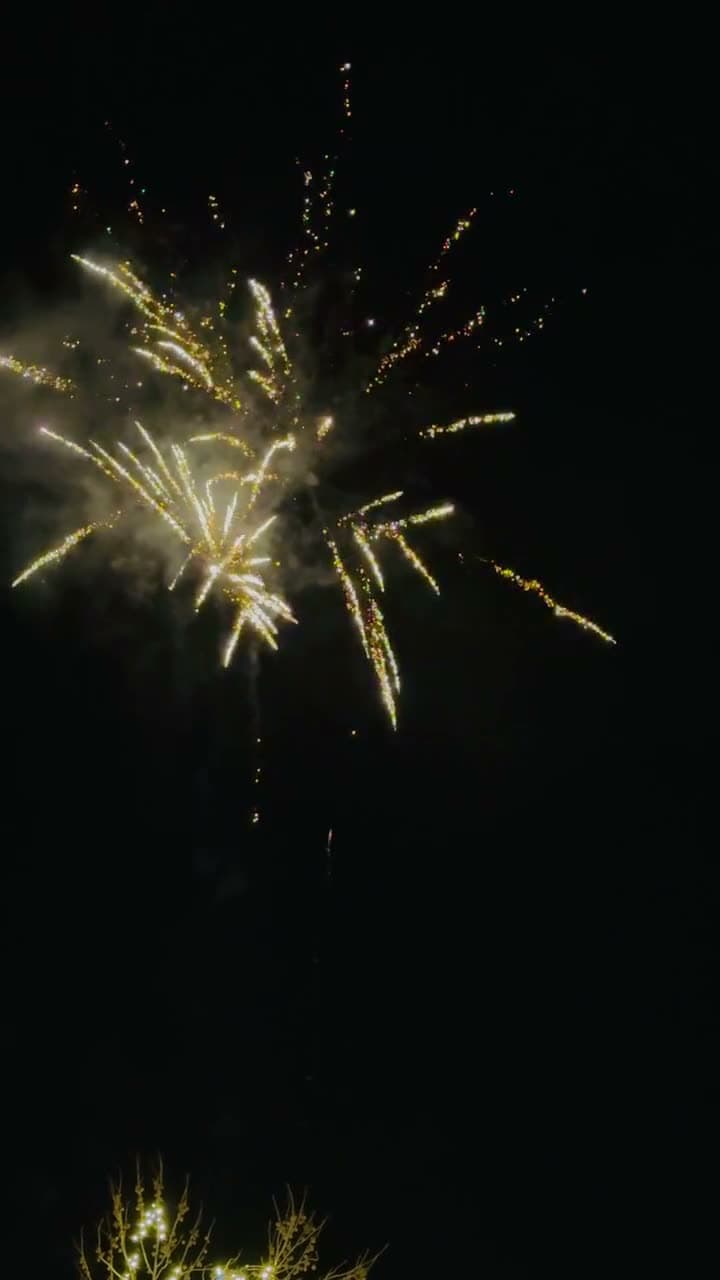 Fireworks open across a black sky, sparks drifting down in long trails. Locked-off wide, deep shadow, bursts of warm colour.