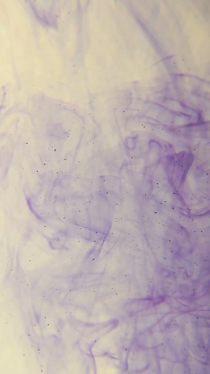 Ink blooms and curls through clear water, backlit against black. Tendrils unfurl in slow motion. Abstract, organic, high contrast.