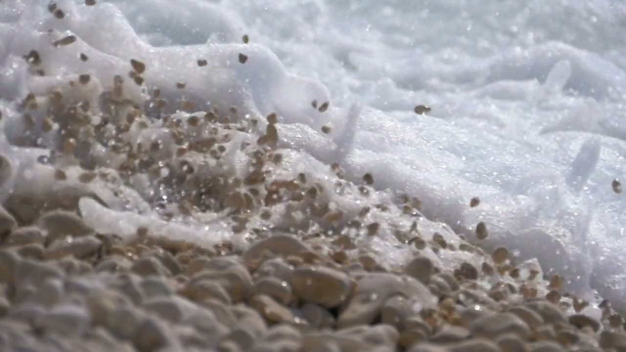 A wave curls and collapses in slow motion, spray hanging in the air at the lip. Backlit so the water glows green. Powerful and weightless at once.