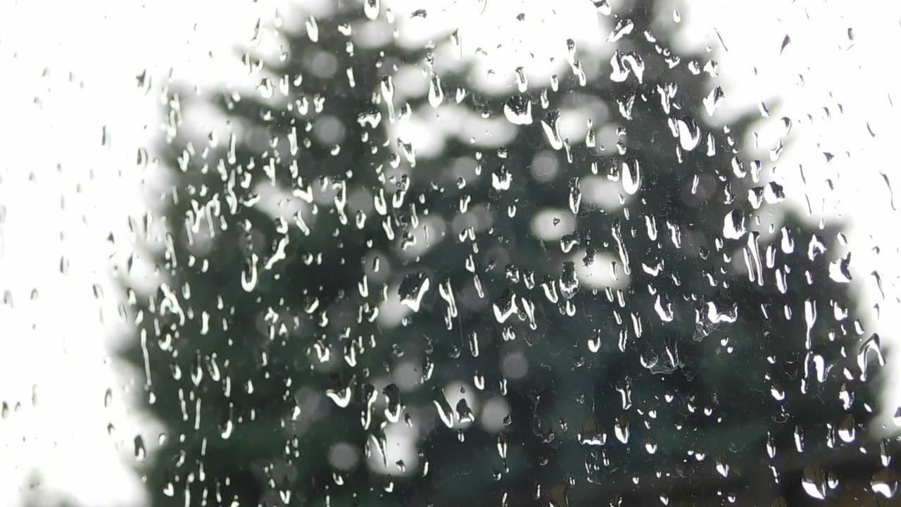 Raindrops gather and run down a pane of glass, the world beyond thrown far out of focus. Macro, soft grey light, intimate and still.