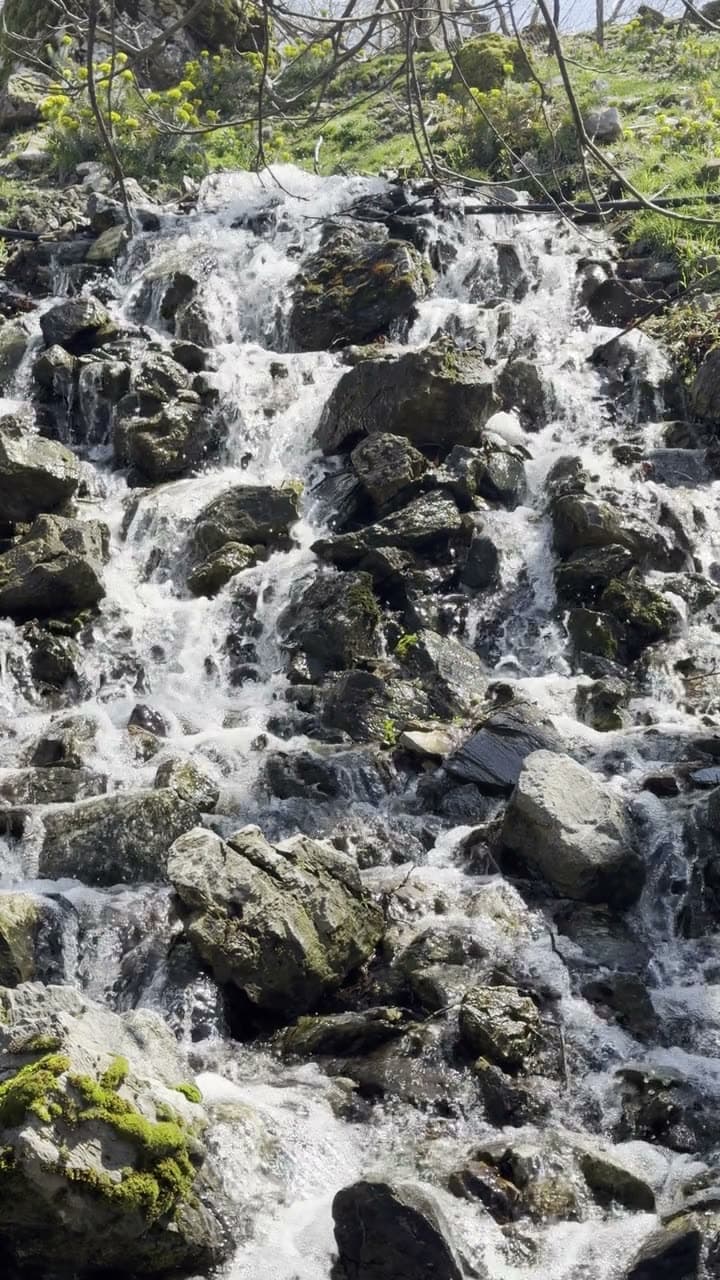 Water falls through mossy rock into a dark pool, shot straight on from close range. Fine mist catches the light. Cool green palette, slow and hypnotic.